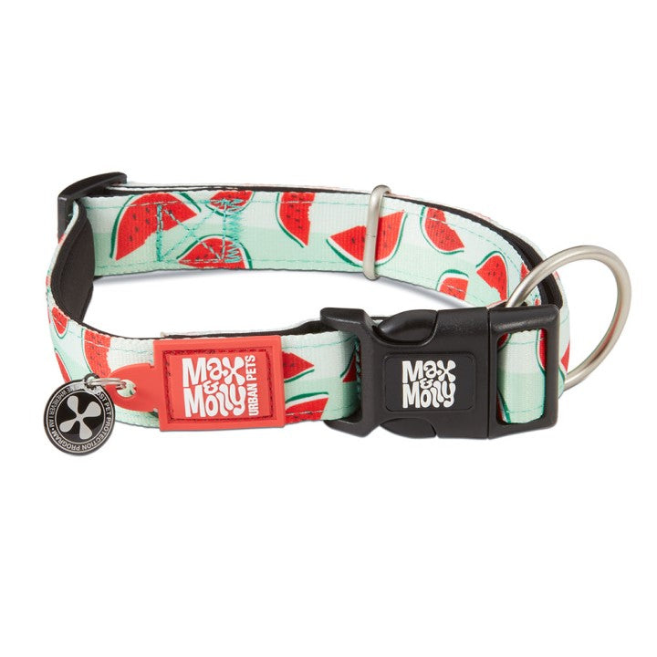 Max & Molly Neoprene Smart ID Collar