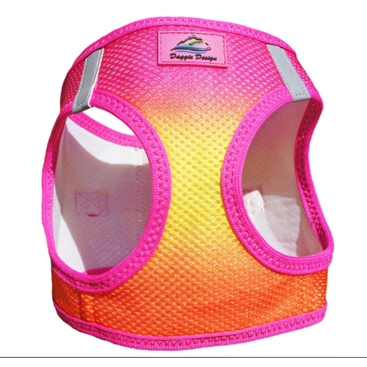 Ombre American River Choke Free Harnesses