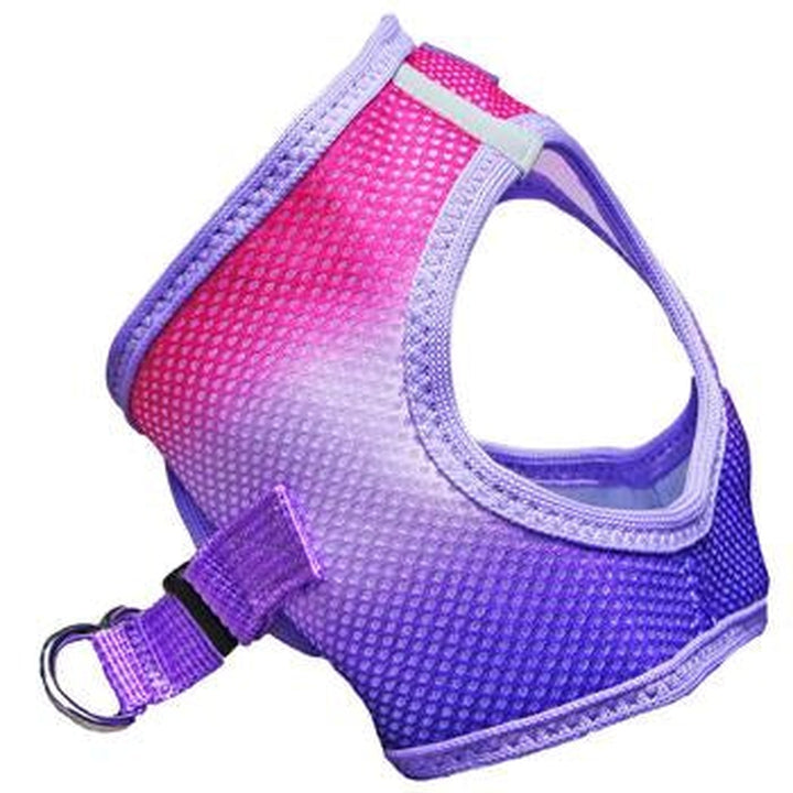 Ombre American River Choke Free Harnesses