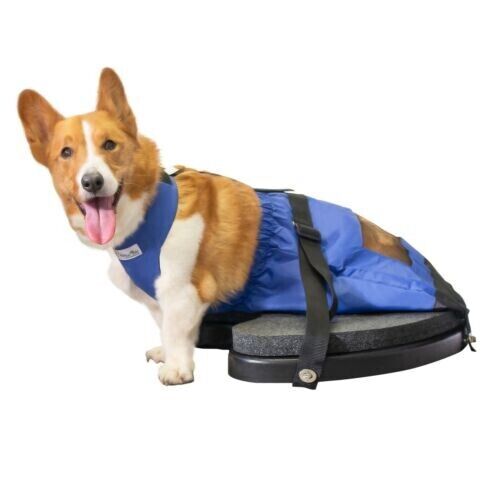 Pet Scooter by Walkin' Pets